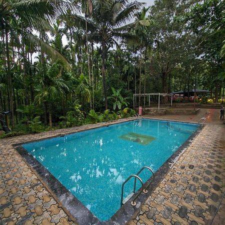 Sunbird Jungle Stay Дандели Экстерьер фото